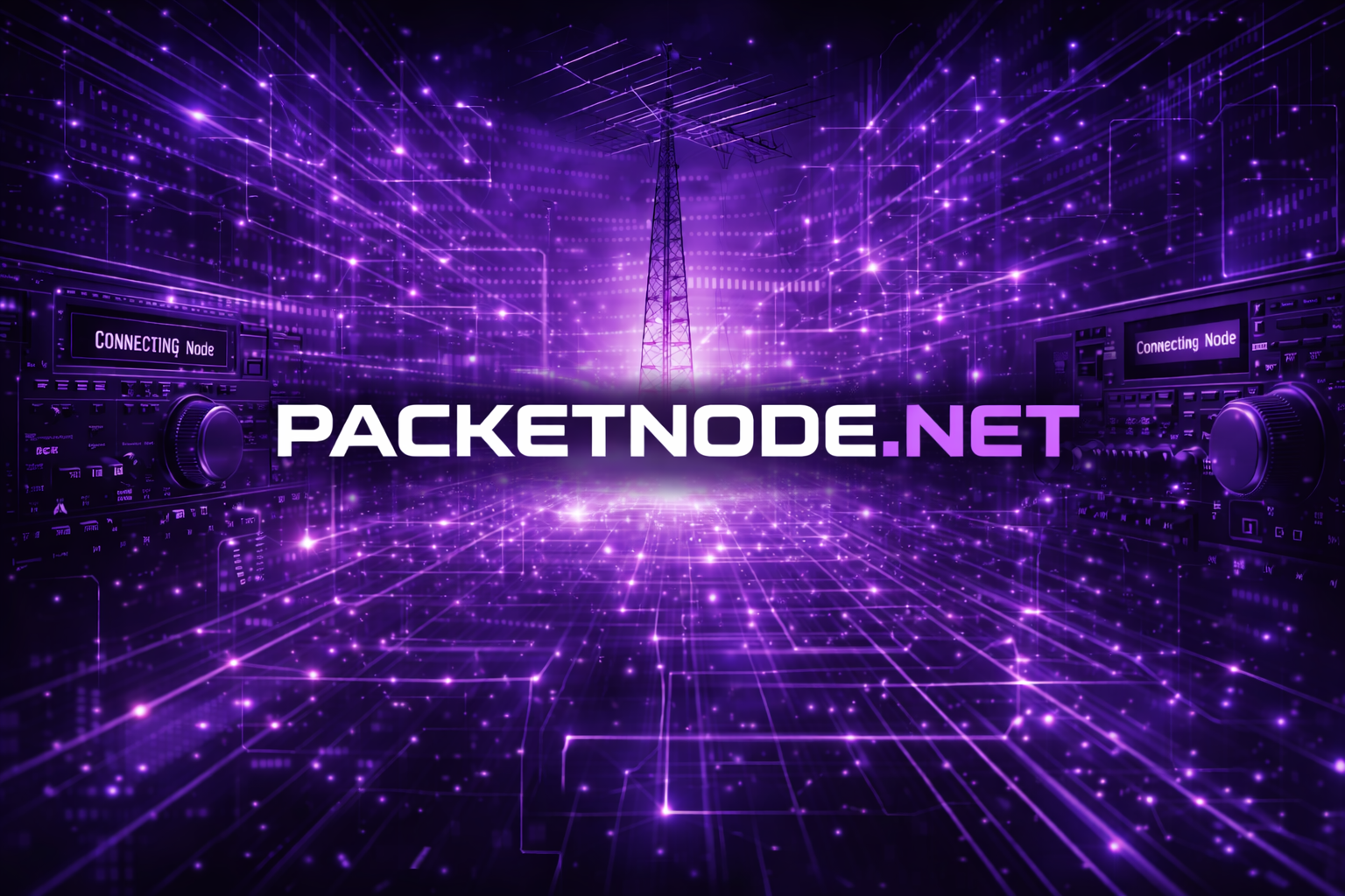 packetnode.net
